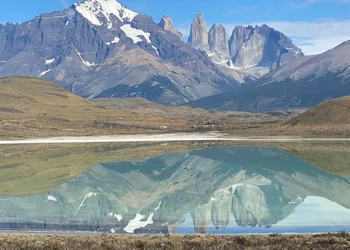  Blühendes Patagonien mit Thomas Pölzl