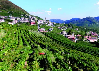 Prosecco Weinstrasse